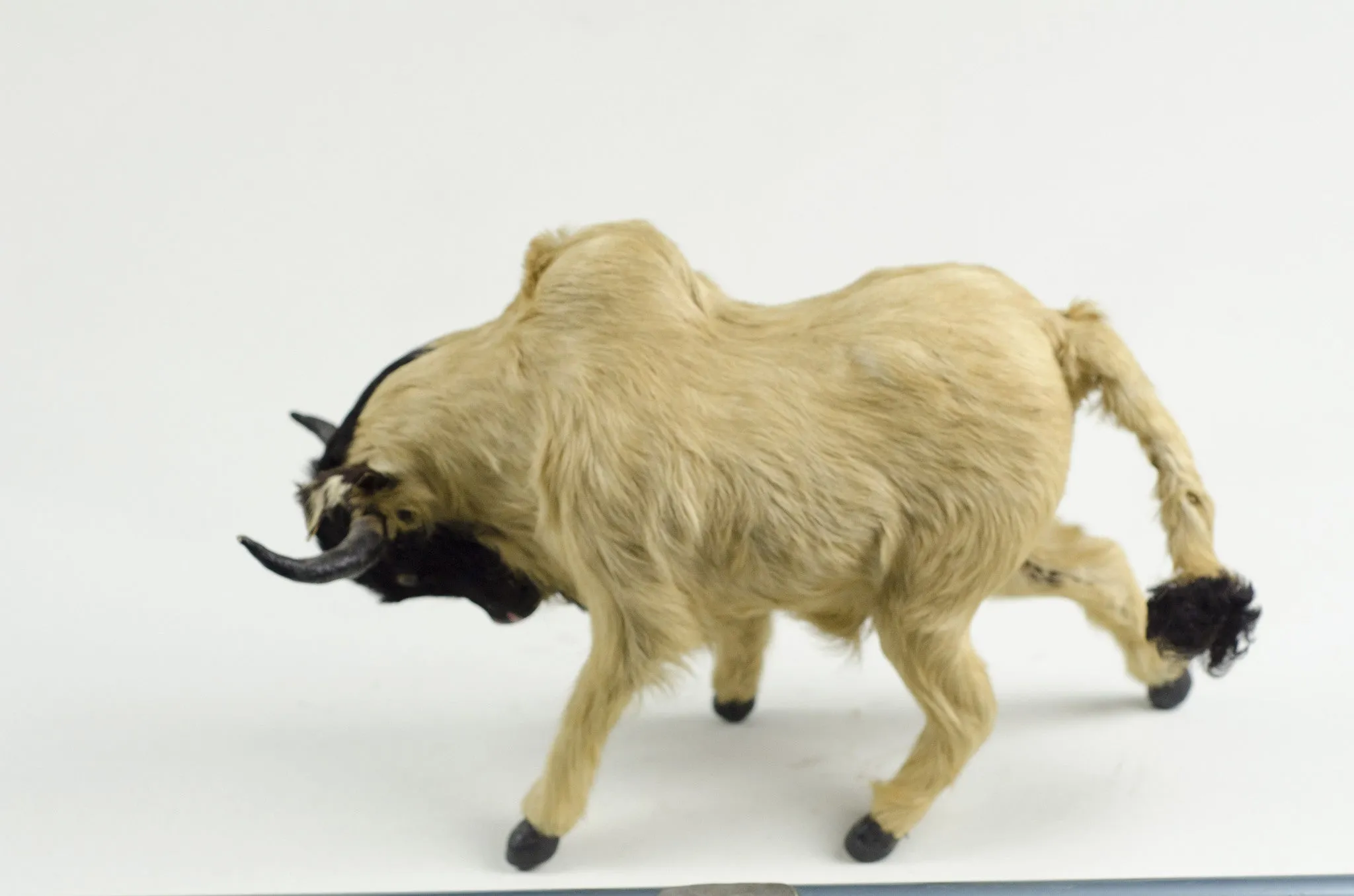 Antique Bull Taxidermy Toy