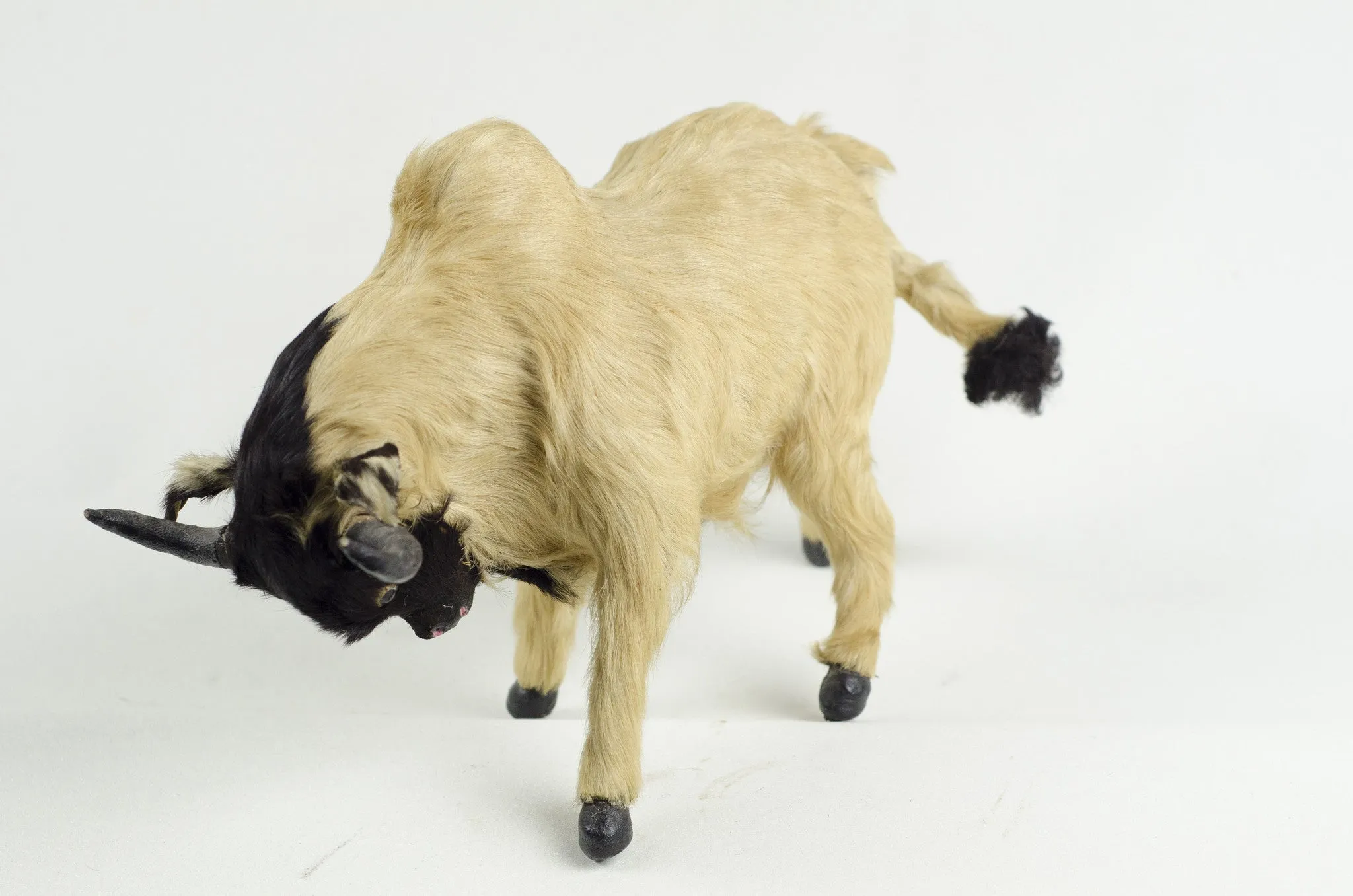 Antique Bull Taxidermy Toy