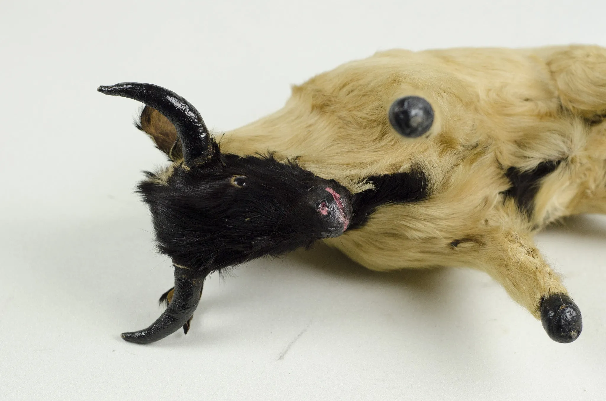 Antique Bull Taxidermy Toy