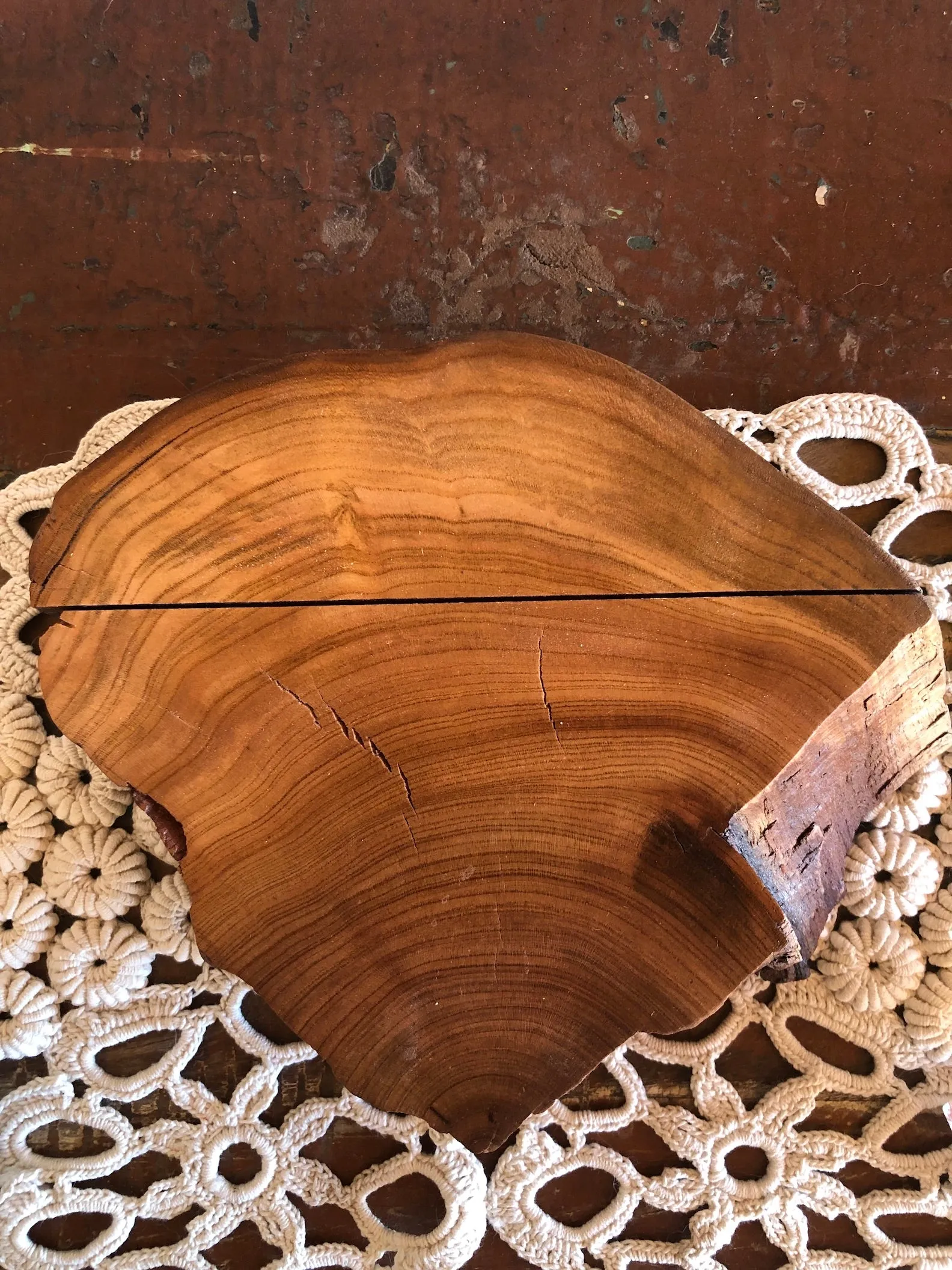 Apricot Card Holder, Large - the "Oyster"