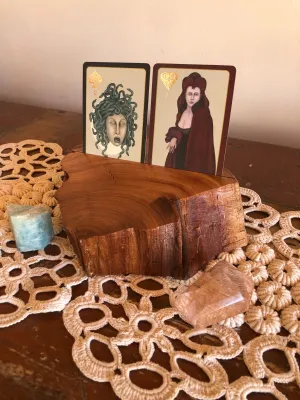 Apricot Card Holder, Large - the "Oyster"