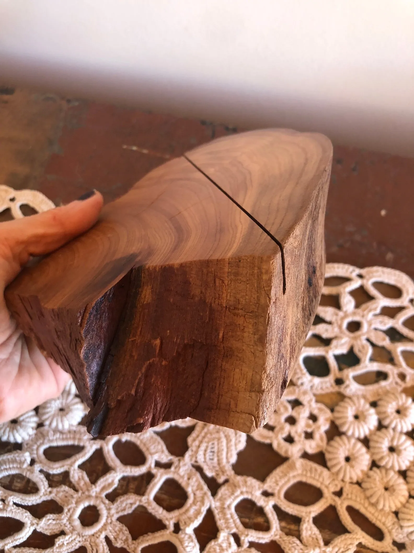 Apricot Card Holder, Large - the "Oyster"