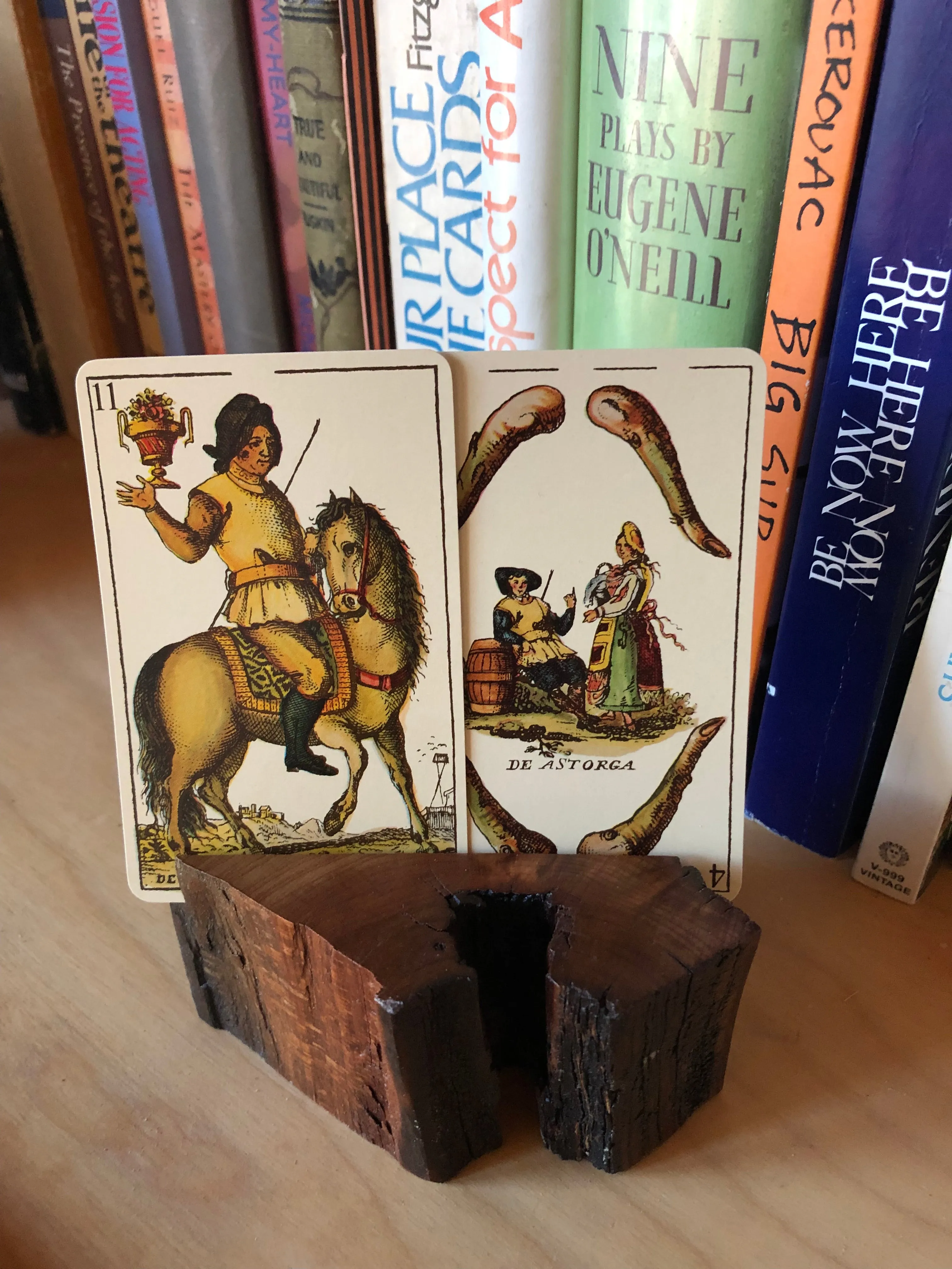 Apricot Card Holder - the Chunky Mini