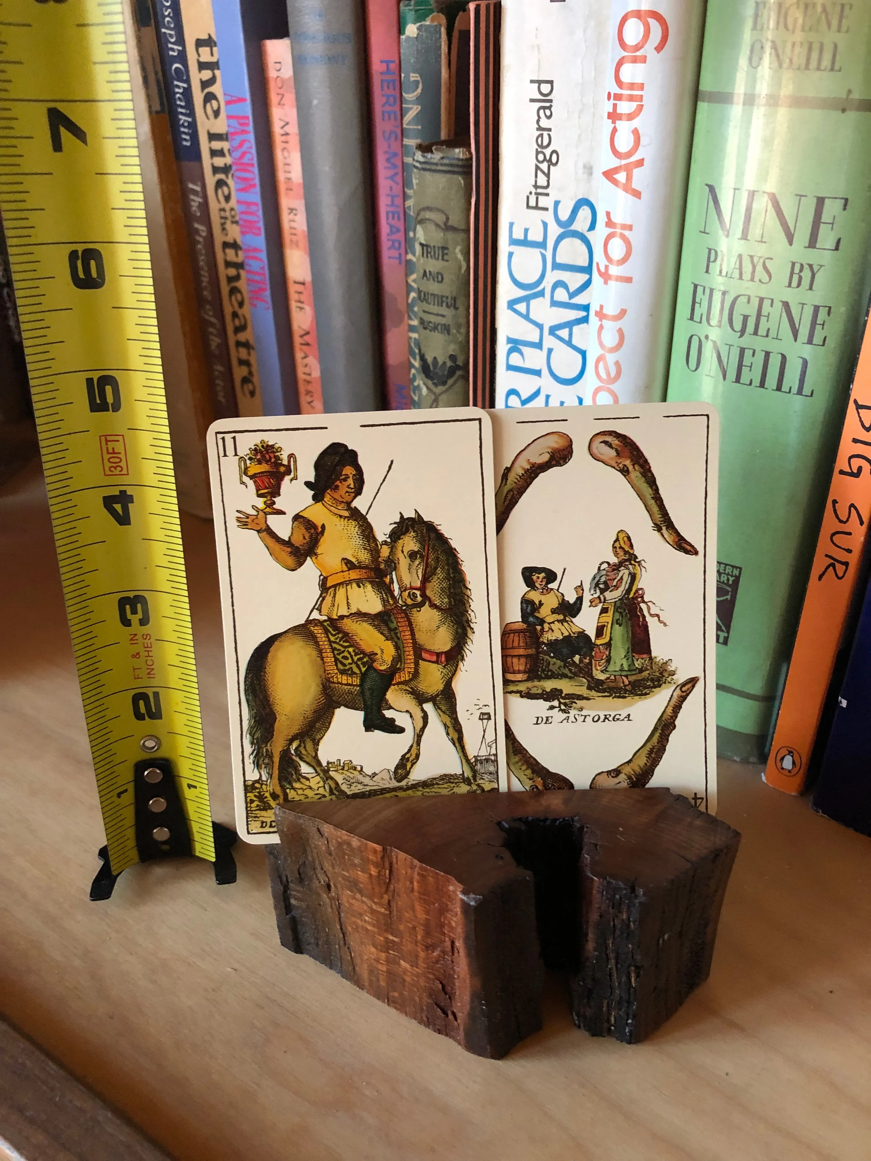 Apricot Card Holder - the Chunky Mini