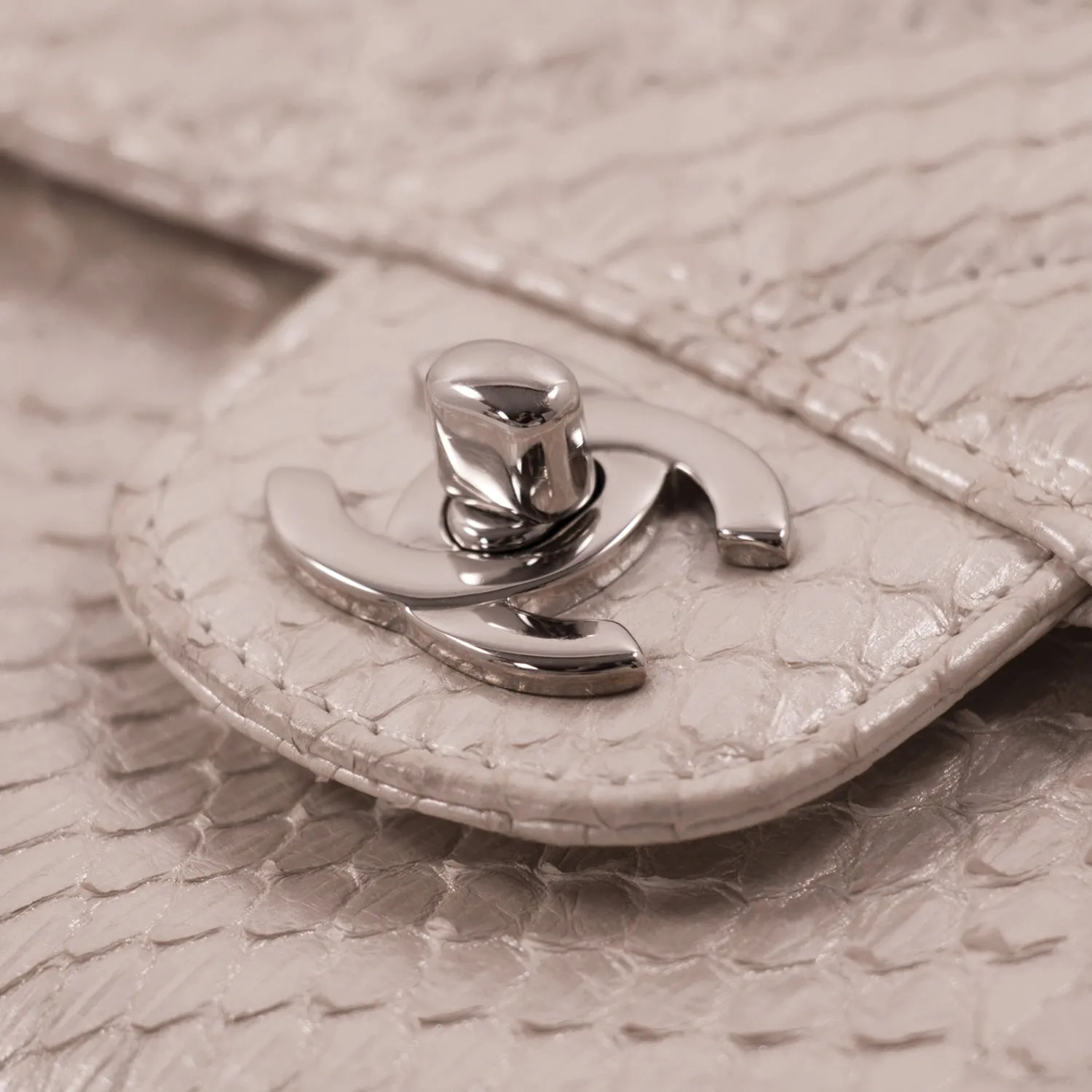 Chanel Python Mini Flap Bag