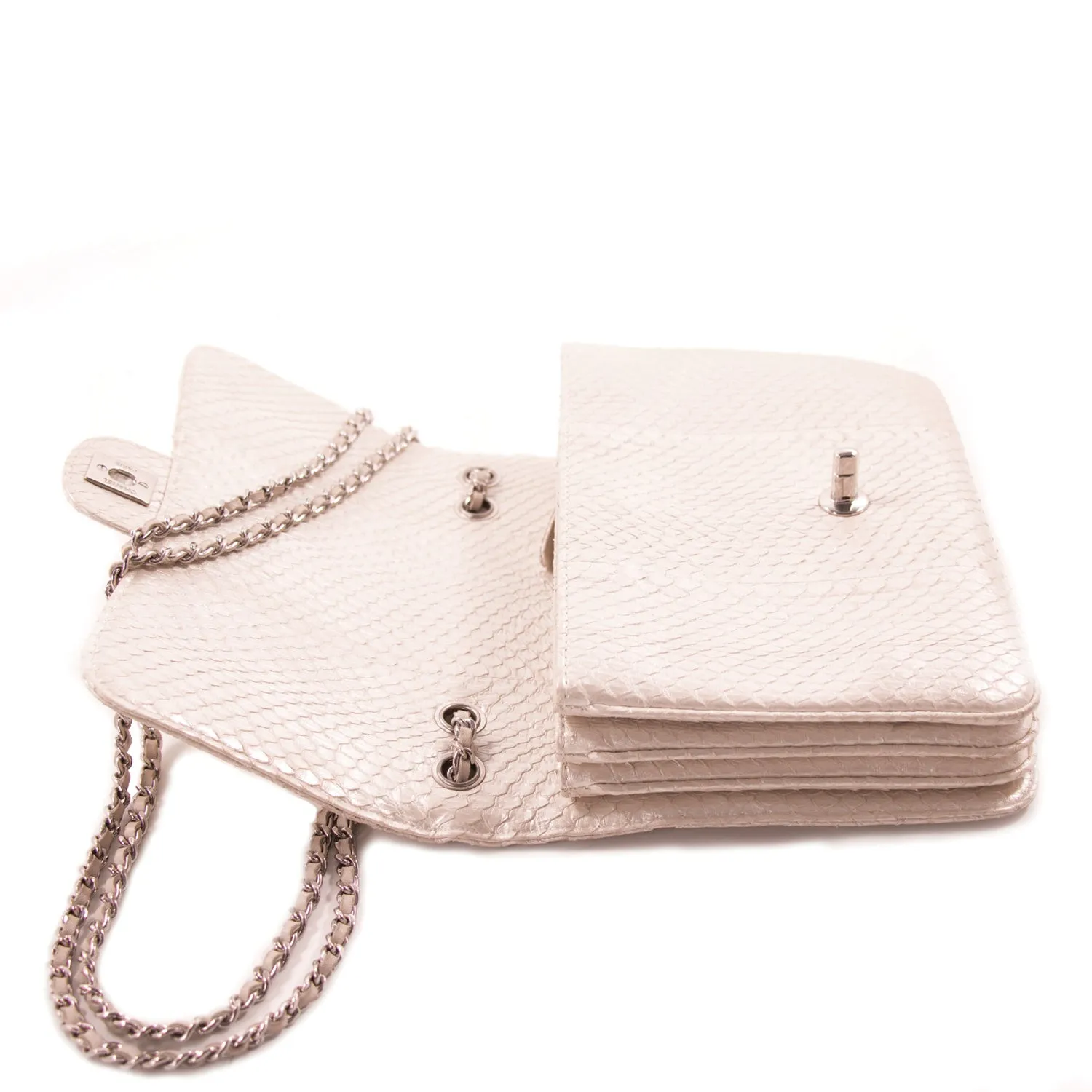 Chanel Python Mini Flap Bag