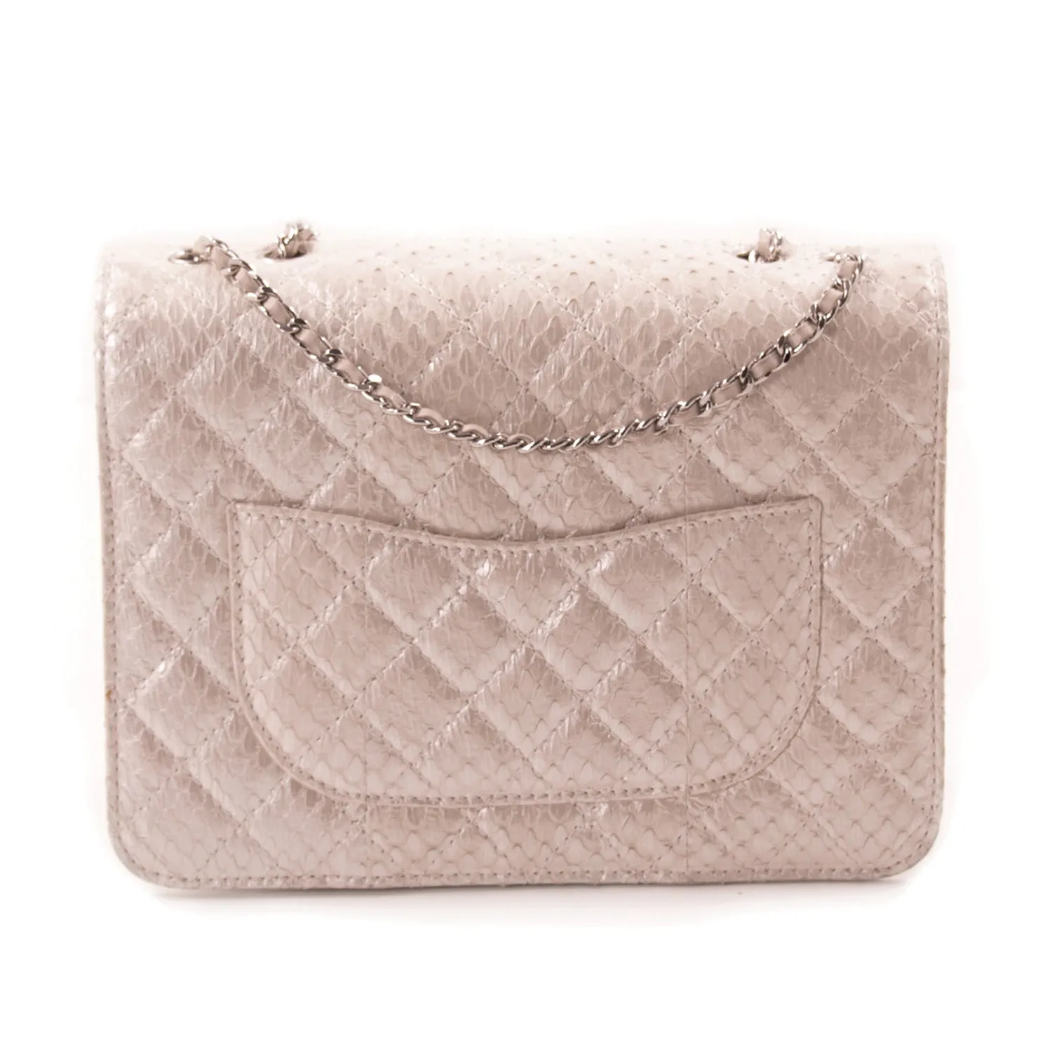 Chanel Python Mini Flap Bag