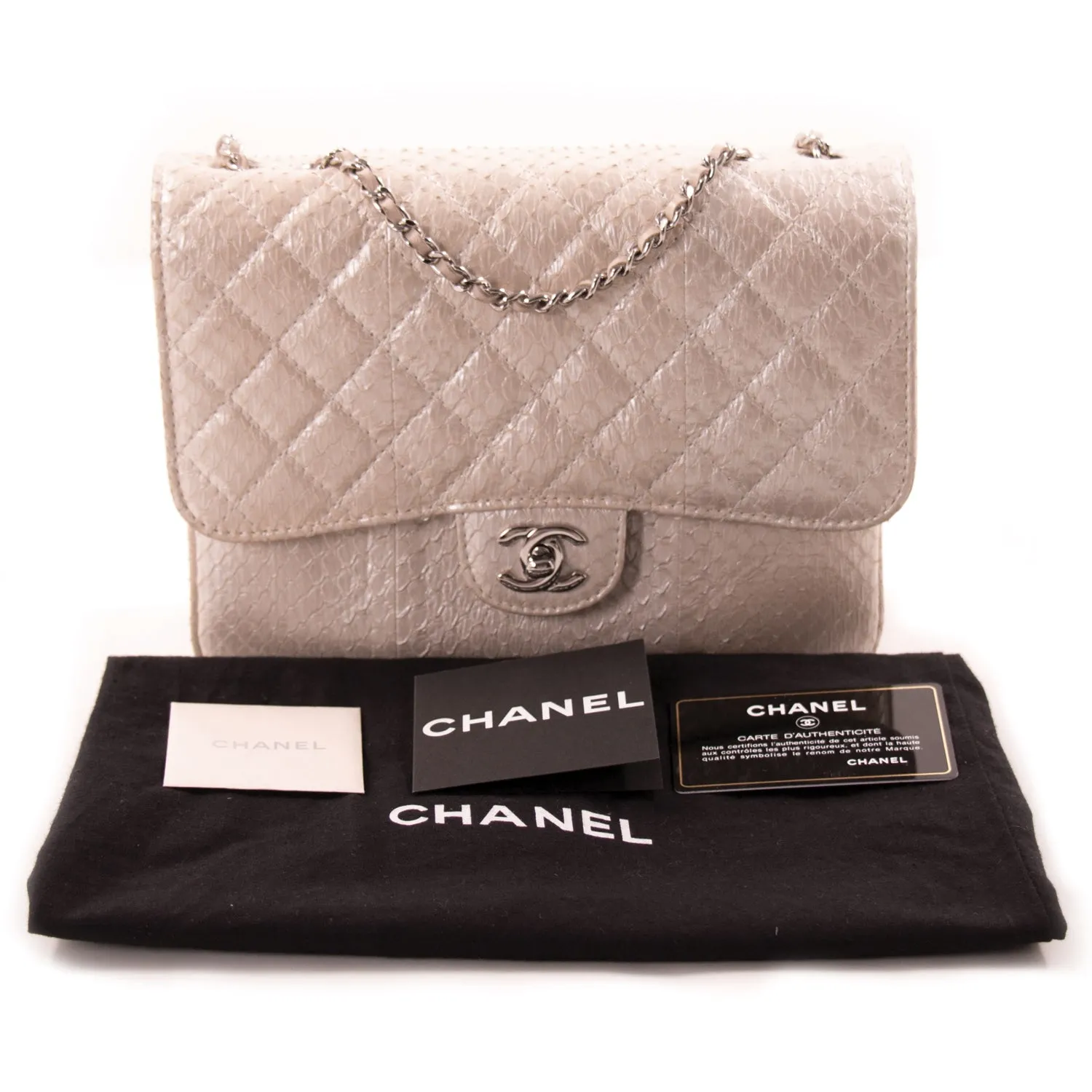 Chanel Python Mini Flap Bag