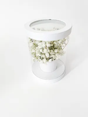 Cylinder Clear Flower Box in variety Color