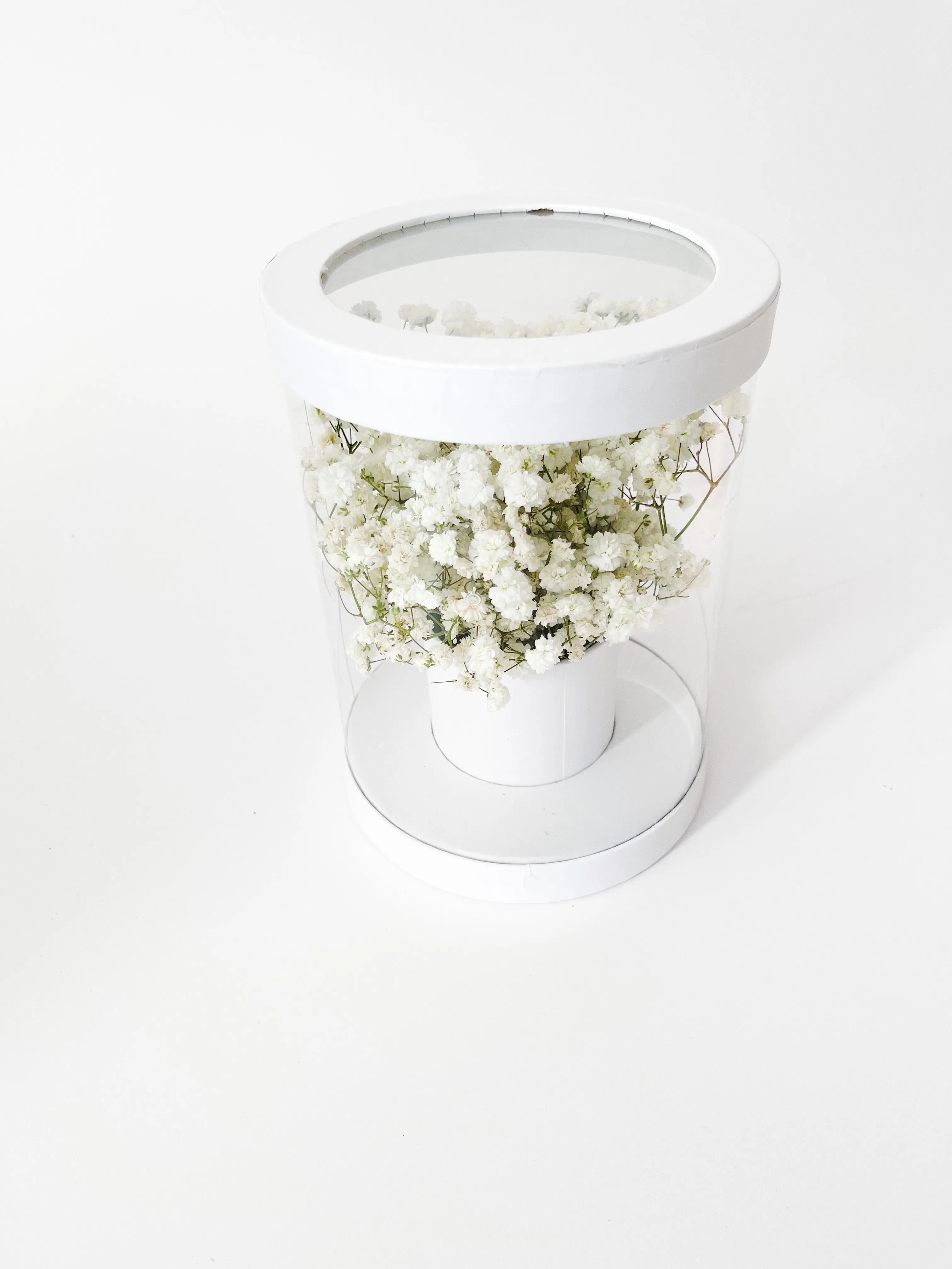 Cylinder Clear Flower Box in variety Color