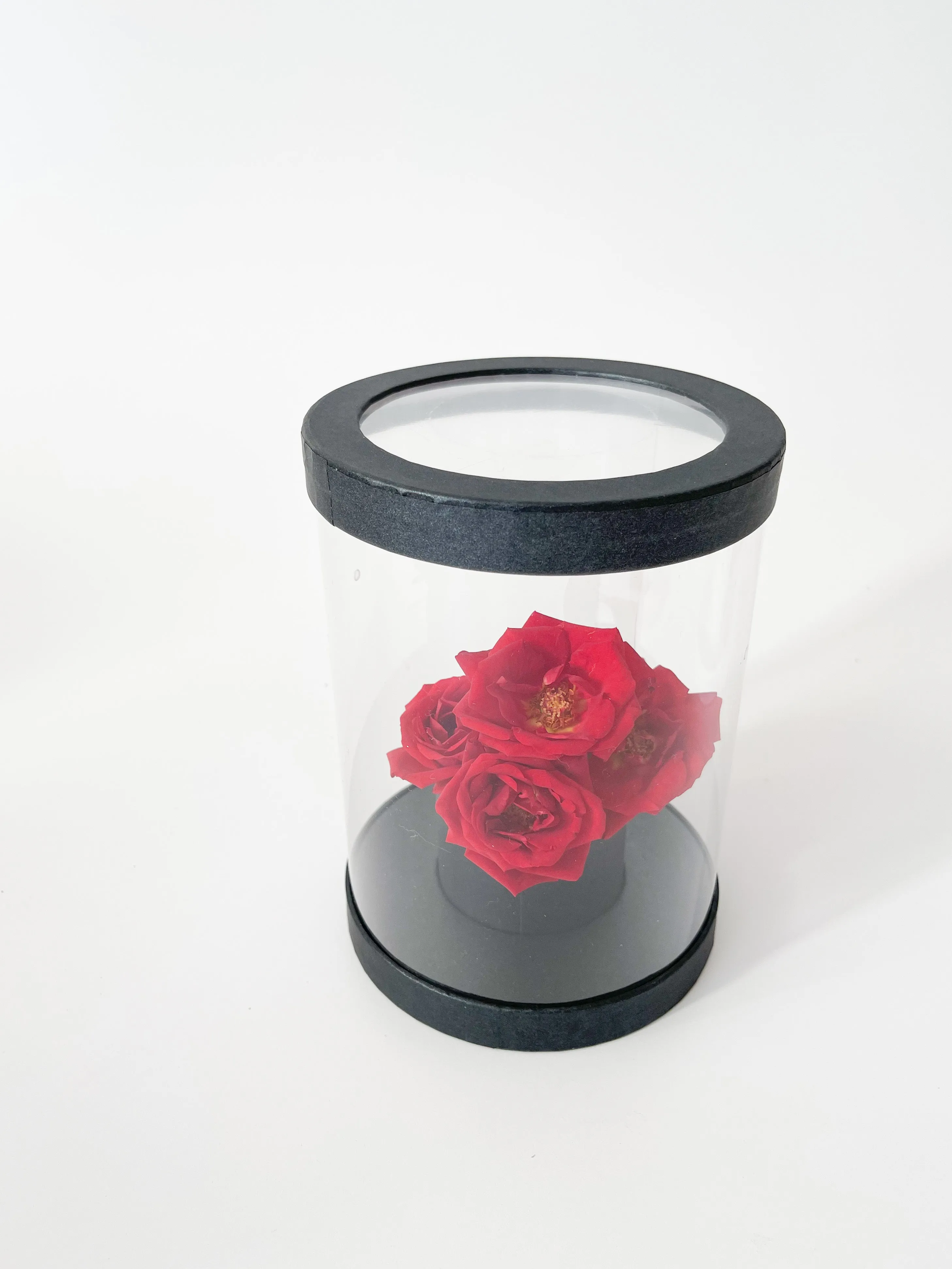 Cylinder Clear Flower Box in variety Color