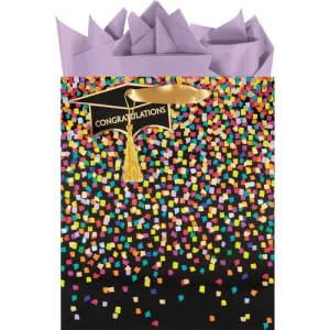 Graduation Sprinkles Gift Bag