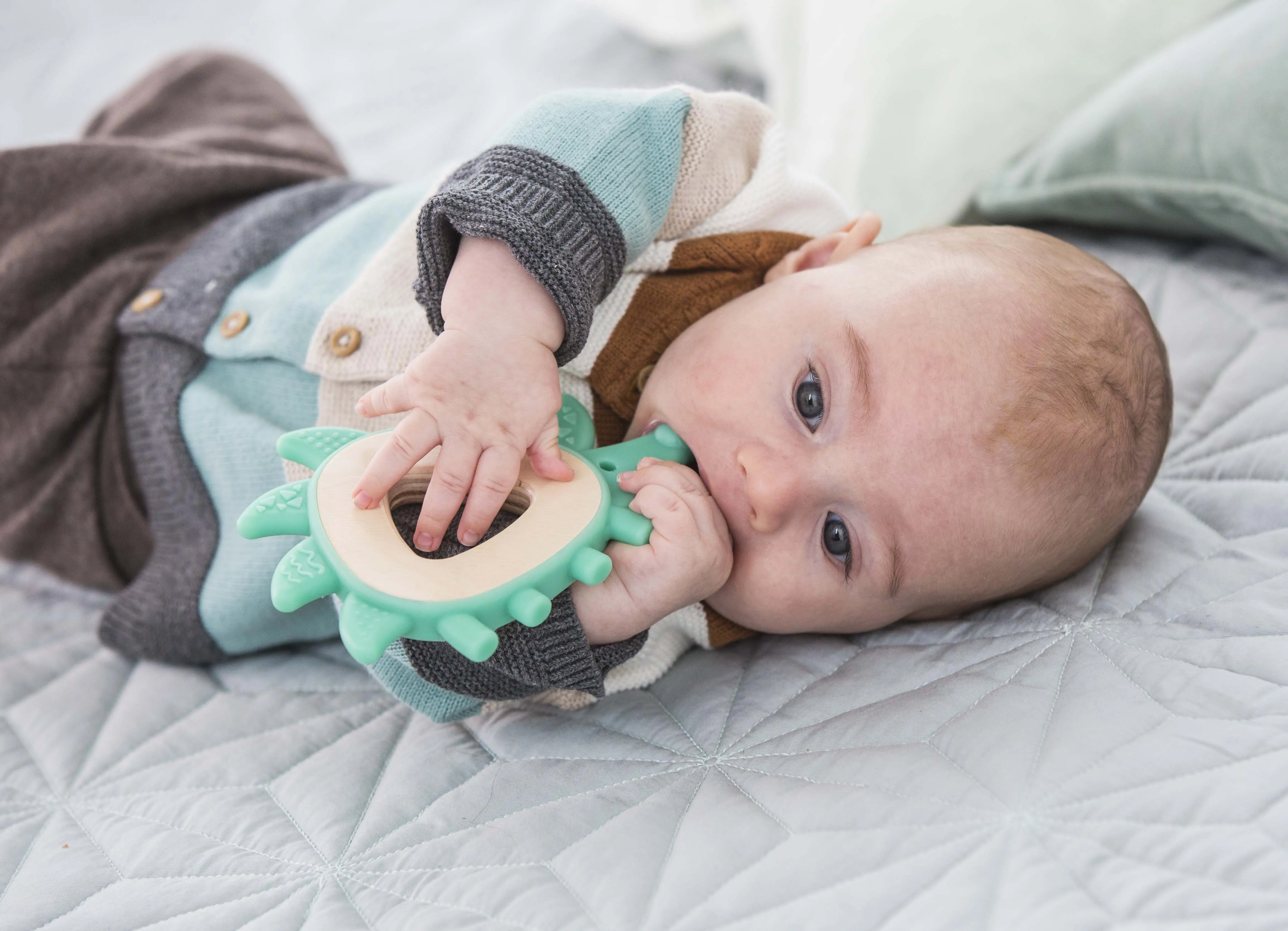 Hape Teether Hedgehog