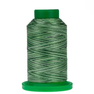 Isacord Thread 9805 Shades of Grass Varigated Thread 1000m