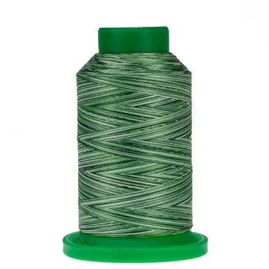 Isacord Thread 9805 Shades of Grass Varigated Thread 1000m