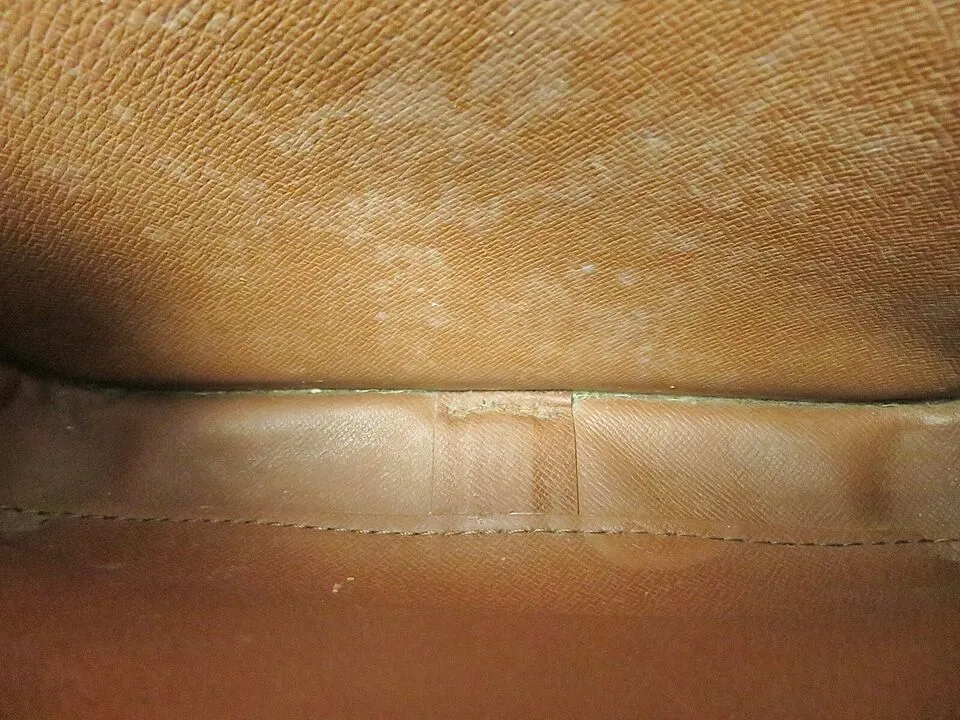 LOUIS VUITTON Cartouchiere MM Monogram Crossbody Bag