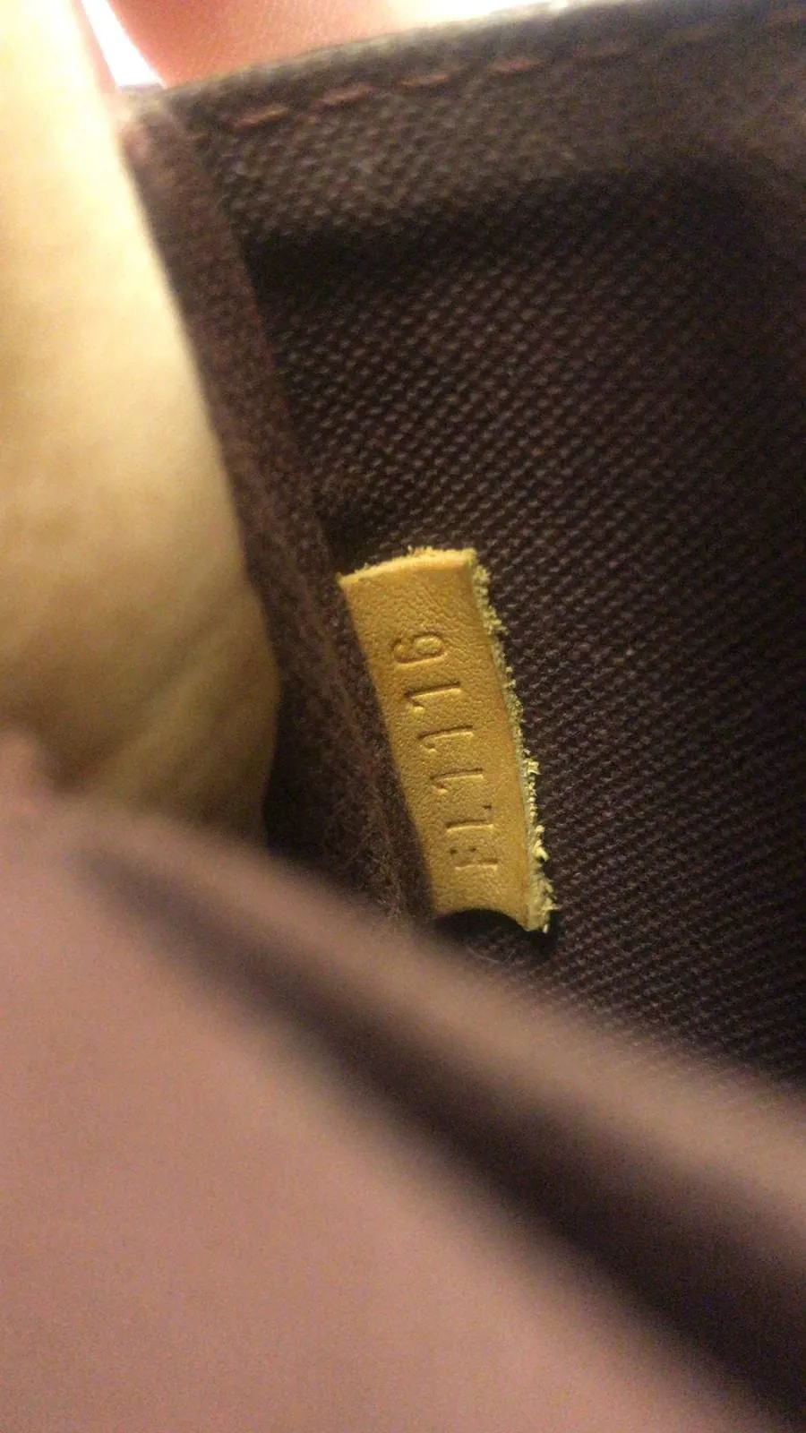 LOUIS VUITTON Favorite PM Monogram Canvas Crossbody Bag
