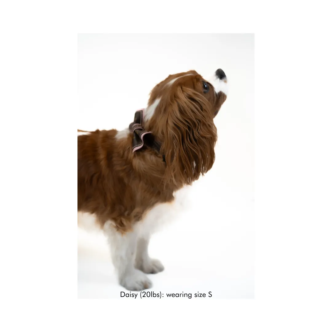 Louis Vuitton Luxury Repurposed Dog Collars