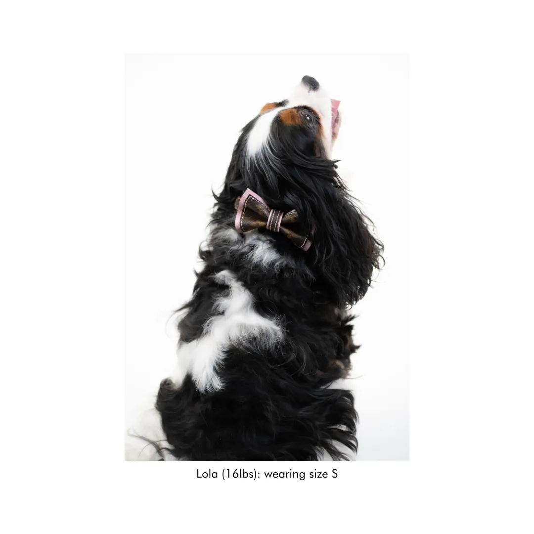 Louis Vuitton Luxury Repurposed Dog Collars