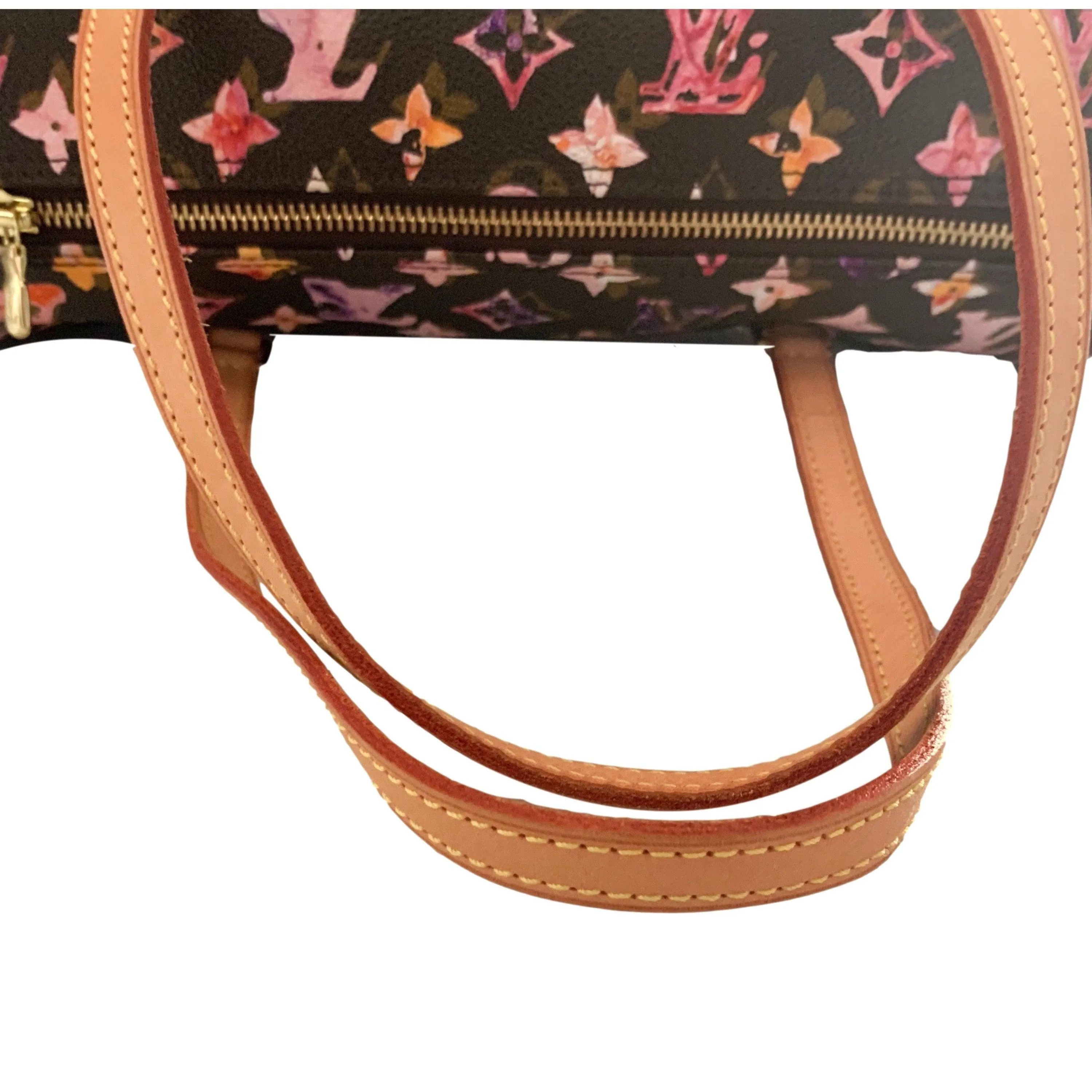 Louis Vuitton Watercolor Papillon Bag