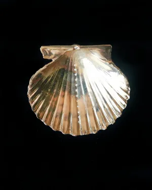 Louse Point Scallop Diamond Shell