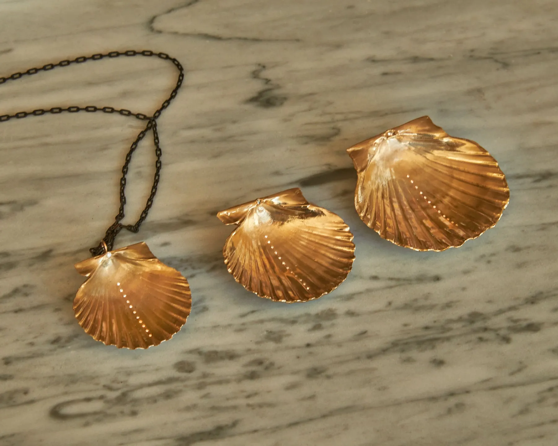 Louse Point Scallop Diamond Shell