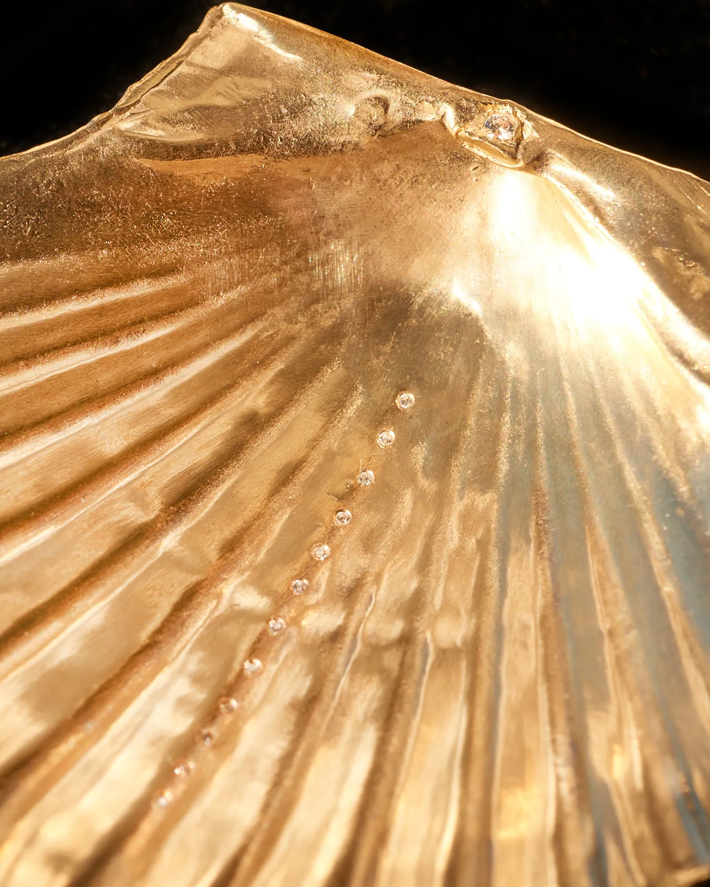 Louse Point Scallop Diamond Shell