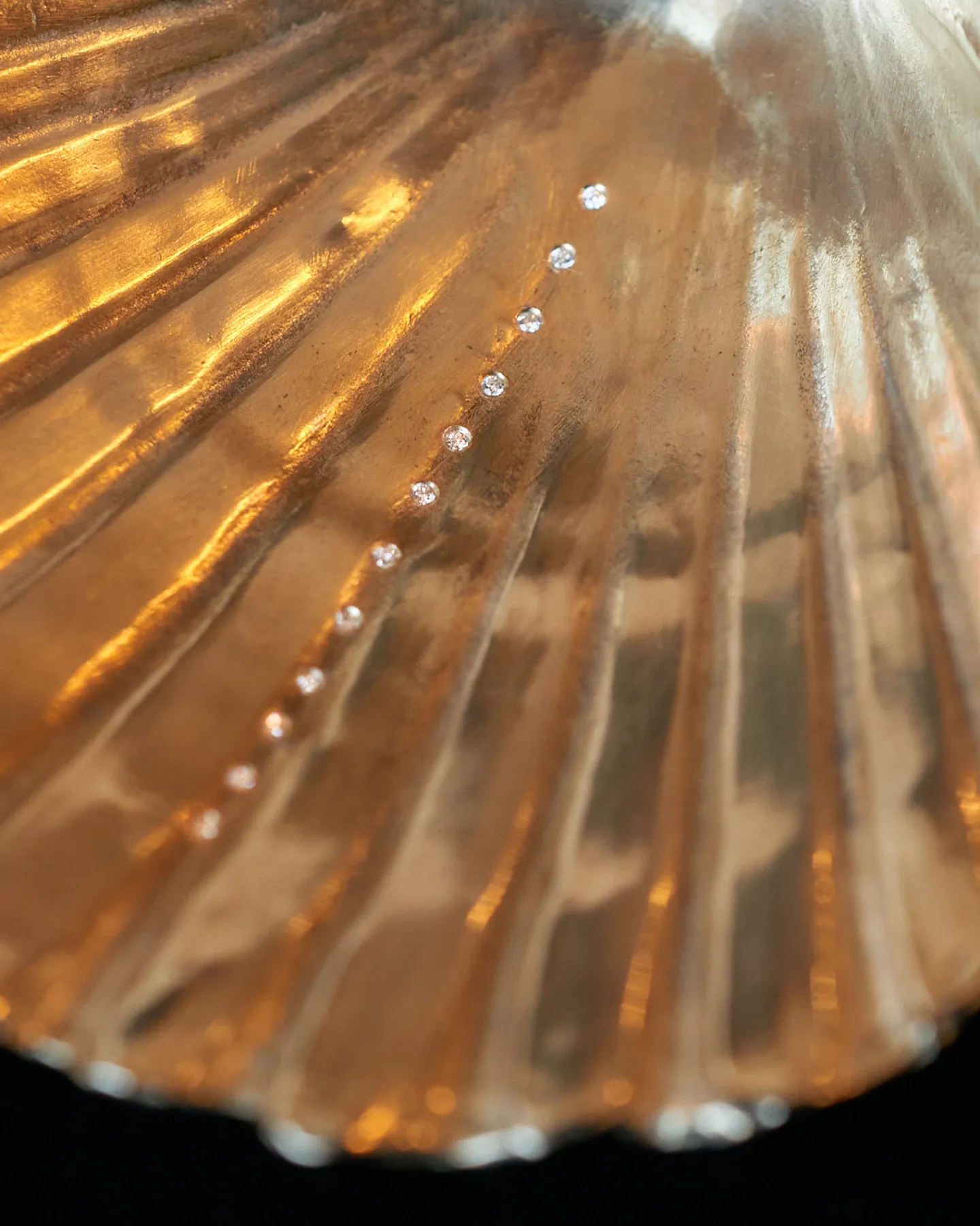 Louse Point Scallop Diamond Shell