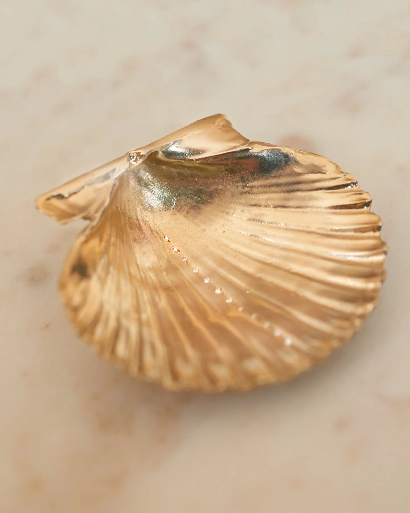 Louse Point Scallop Diamond Shell