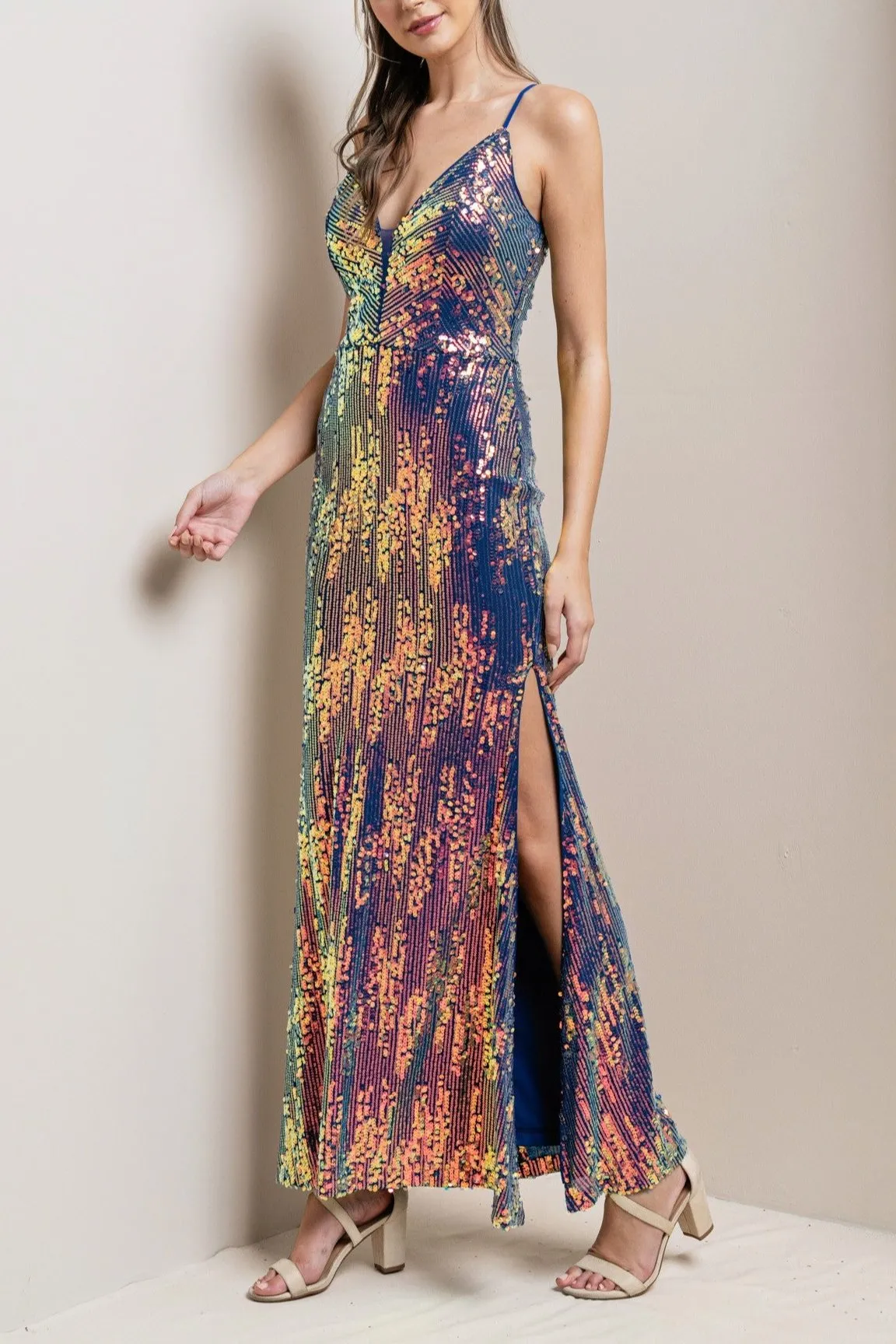 Majestic Multicolor Dress