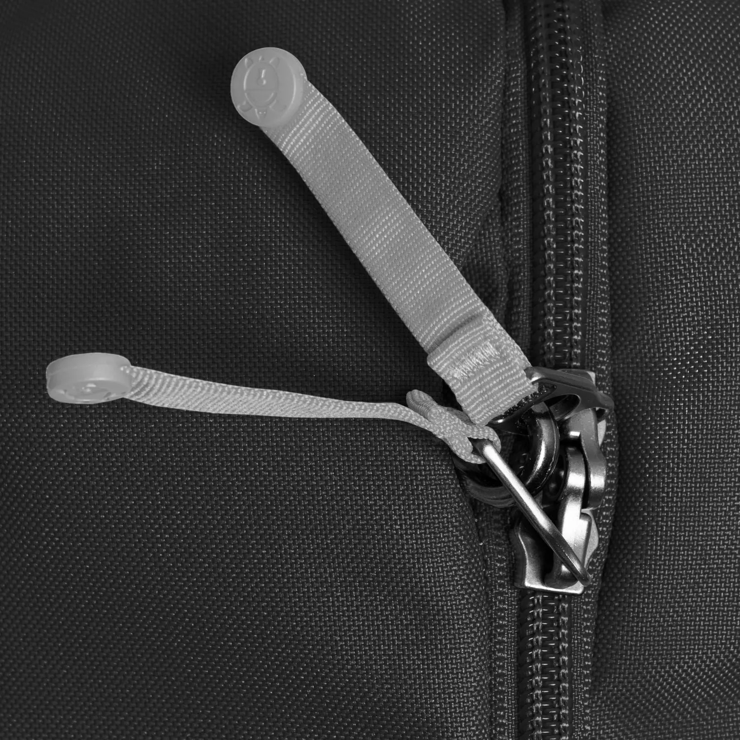 Pacsafe Go Anti-Theft Carry On Backpack 44L