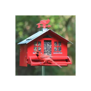 Perky Pet Squirrel Be Gone Wild Bird Feeder
