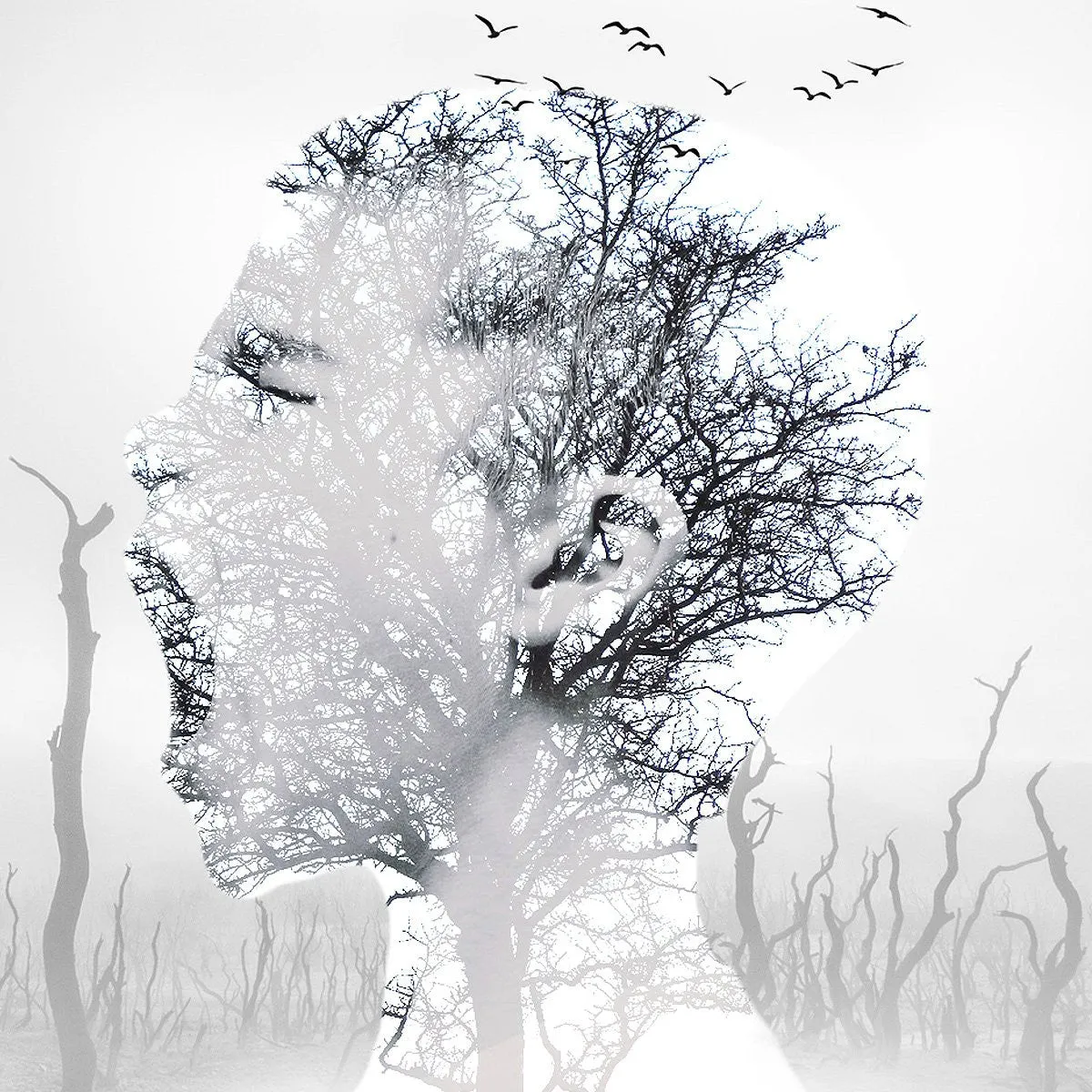 Photoshop Action Multiple Exposure  4 in1