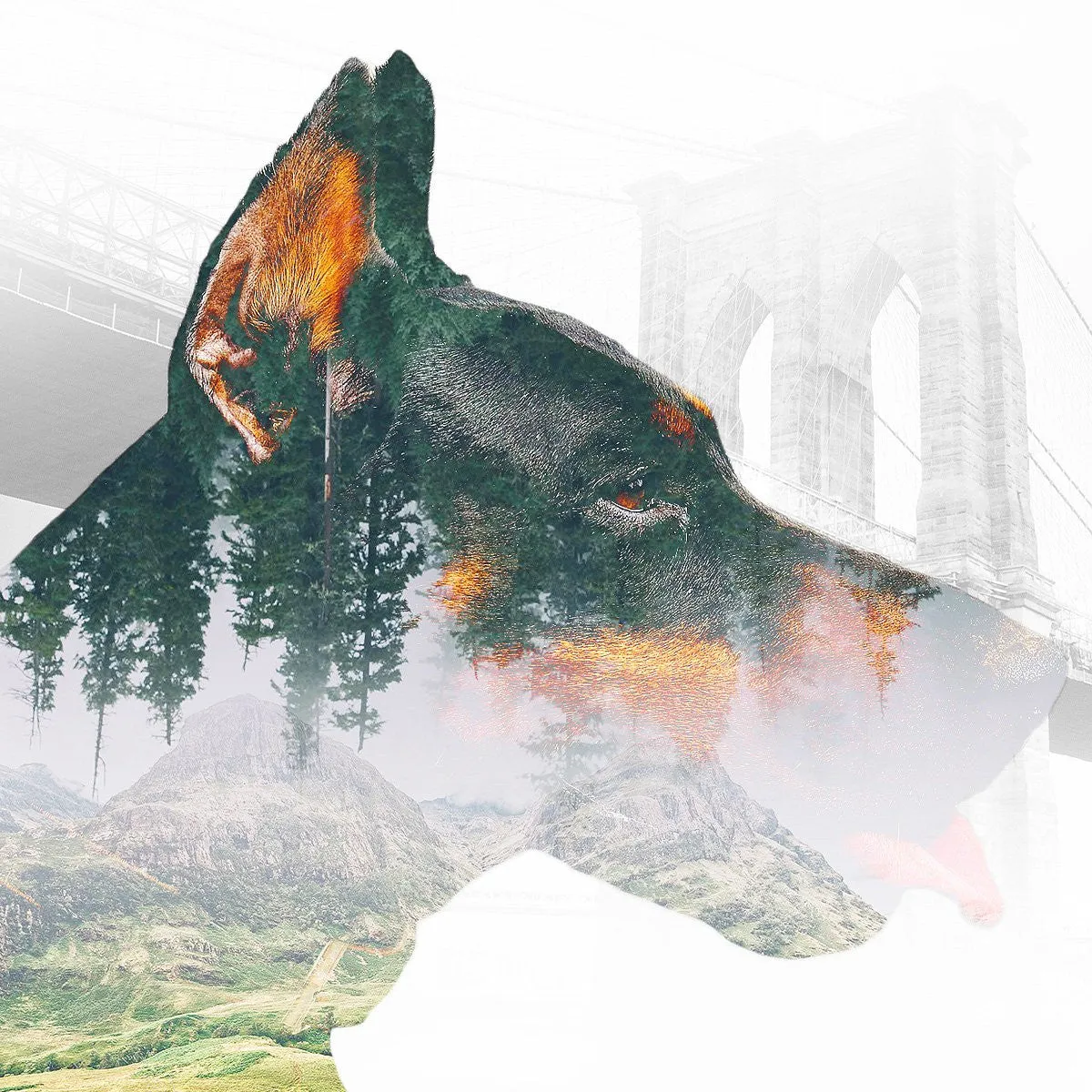 Photoshop Action Multiple Exposure  4 in1