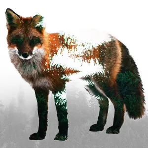 Photoshop Action Multiple Exposure  4 in1