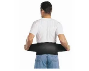 Saunders Work Support Back Support
