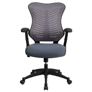 Siwar High-Back Designer Ergonomic Office Chair with Adjustable Armrests by Flash Furniture Flash Furniture Upholstery Color: Gray