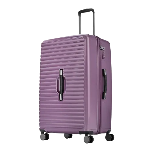 Skybags THE TRUNK