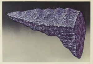 Two (Halfteberg) in Gray with Lavender and Light Blue Gray